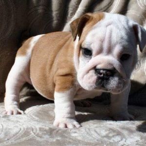 Meet your Posher, Hailey